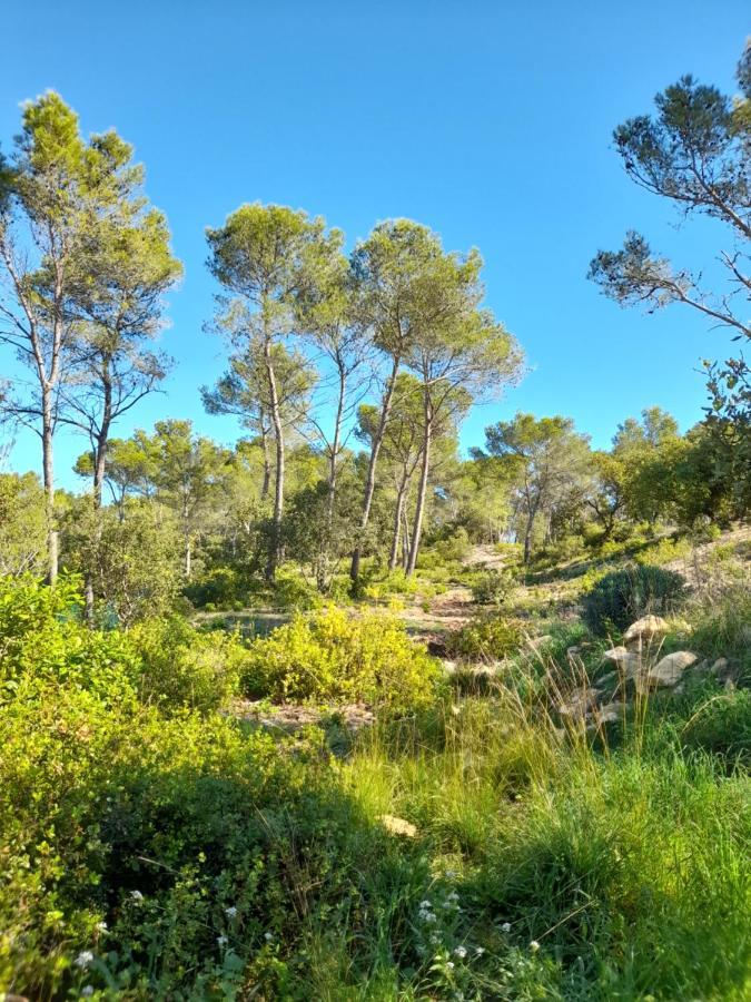 Langlade Studio Du Roc Des Garrigues מראה חיצוני תמונה